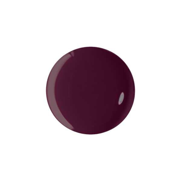Maybelline Fast Gel Nail Polish Possessed Plum 13