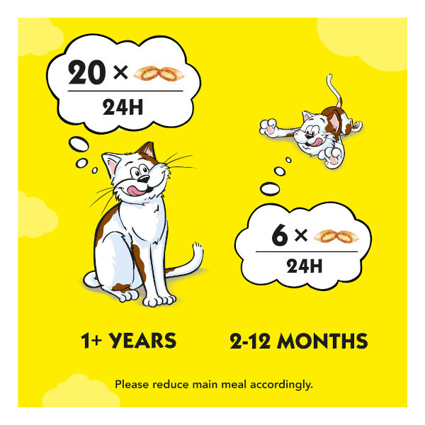 Dreamies Cat Treats With Salmon 200g
