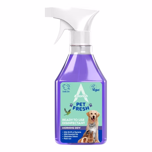 Astonish Disinfectant Morning 550ml